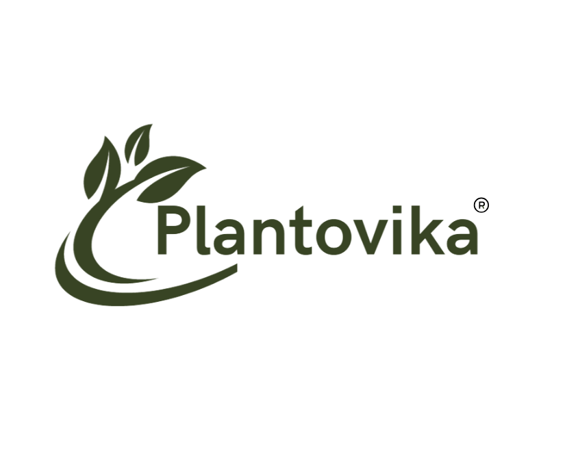 Plantovika